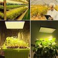Lampe Plante LED, Lampe de Croissance Horticole, 75W, 169 LEDs, Spectre Complet, pour Plantes Intérieur, Semis, Croissance LBQ43-1