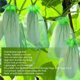 VGE 100pcs sac de protection des fruits sac de corde anti - insectes pour plantes oiseau 15 * 20cm (vert fruité) BigBen-0