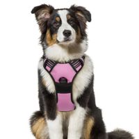 Harnais Chien - Gilet pour chien- Rose taille XL -- Réglable Réfléchissant Matériau Respirant