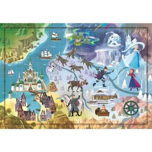PUZZLE Puzzle Adulte Reine Des Neiges Carte du film 1000 Pieces Collection Disney 