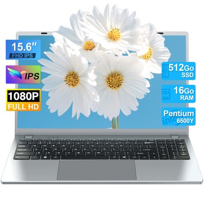 Écran 15.6 Pouces Full HD Pour HP ZBook 15 G6 - IPS 1920x1080 - 30 Pins - Neuf