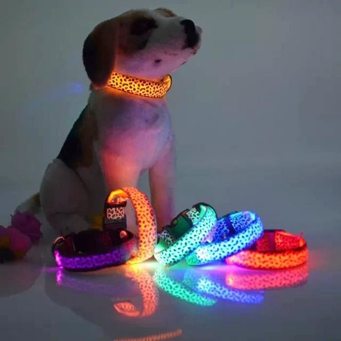Collier de chien LED réglable imprimé léopard Collier de sécurité lumineux nuit pour chien de compagnie - taille M (bleu)