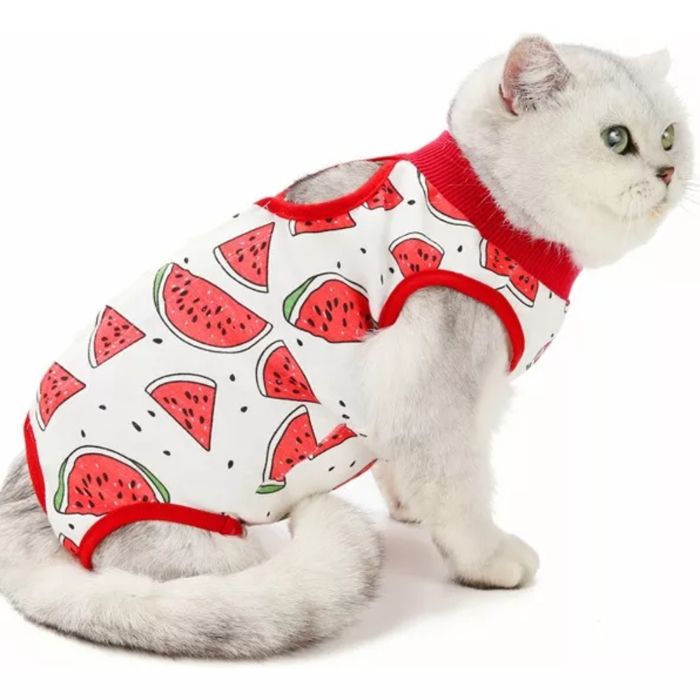 Meilleurs prix pour Gilet M pour chats et chiens, ceintures postopératoires pour animaux de compagnie, Costume pour animaux d'estimation