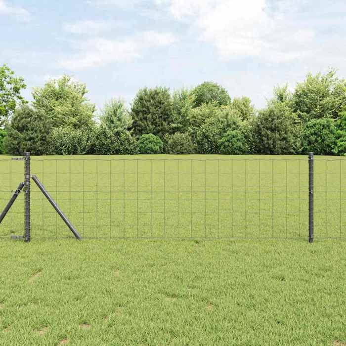 vidaXL Euro Fence 0 4x50 Steel