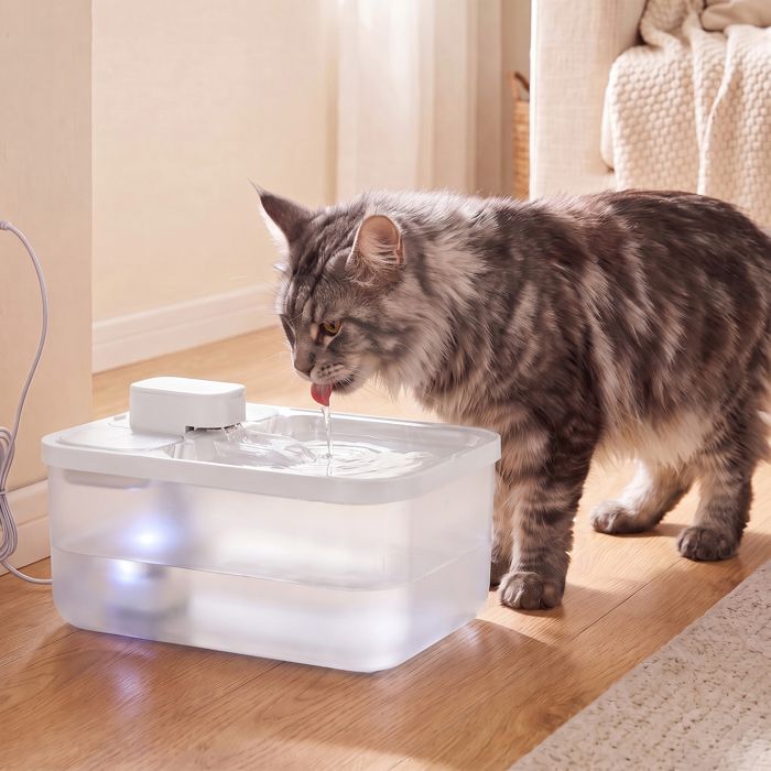 Fontaine à eau pour Chat Fontaine Silencieuse avec Filtration 4 5 L 2 x Filtres 28 7 x 19 3 x 17 3 cm Blanc Fontaine à eau pour Chat Fontaine Silencieuse avec Filtration 4 5 L 2 x Filtres 28 7 x 19 3 x 17 3 cm Blanc