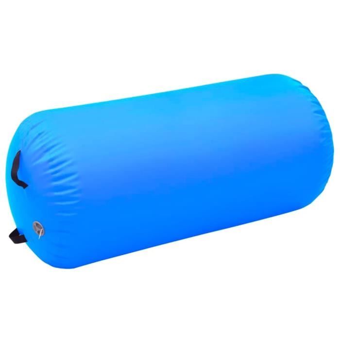 VidaXL Rouleau Gonflable De Gymnastique Avec Pompe 100x60 Cm PVC