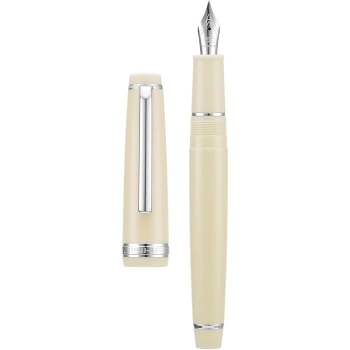 Majohn C4 Stylo-plume à Pointe Extra Fine En Acrylique Gris Transparent Avec Boîte à Stylos
