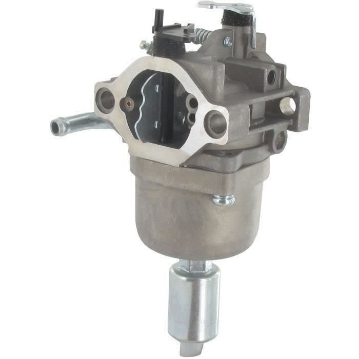 Carburateur adaptable BRIGGS & STRATTON pour modèles 593433, 699916, 794294