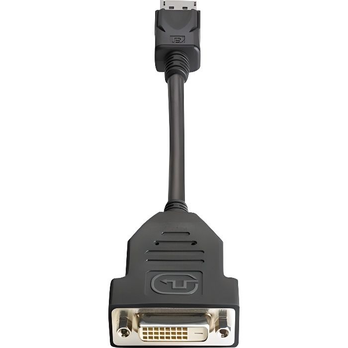 HP Câble DVI - DisplayPort (M) pour DVI-D (F) - 19 cm