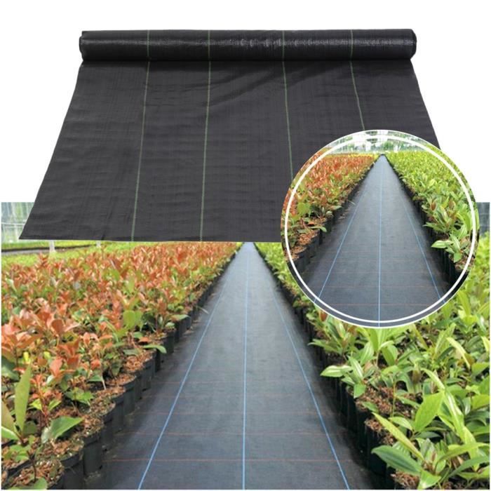 Toile anti mauvaises herbes 1X100M Film Nappe Tissu-noir - Cdiscount Jardin