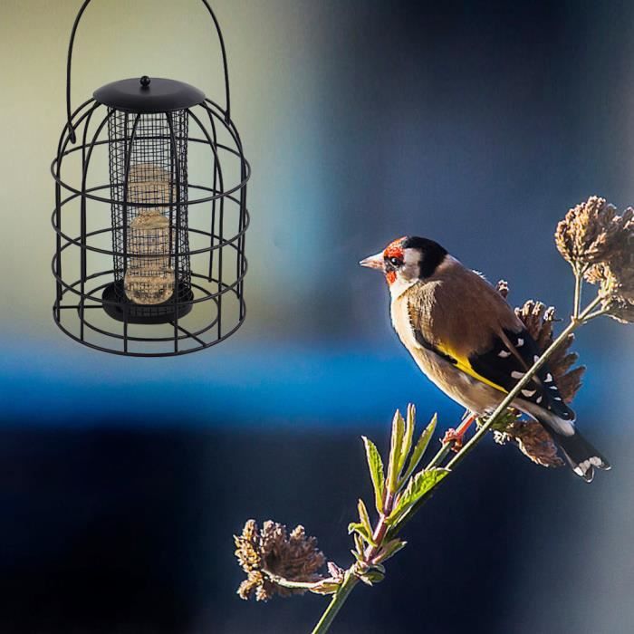 Distributeur Graines Oiseaux Exterieur I Mangeoires Pour Oiseaux Sauvages Pour Graines Avec Assiette De Nourriture Xl - Mangeoire Attirer Les