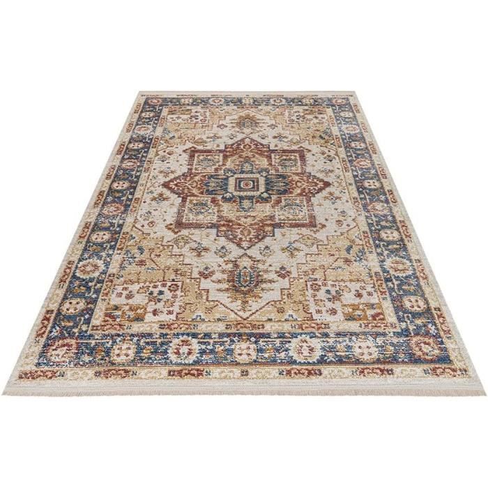 Safavieh Tapis Traditionnel Tucson - Lavable En Machine 200x300cm Gris Clair Et Rouille