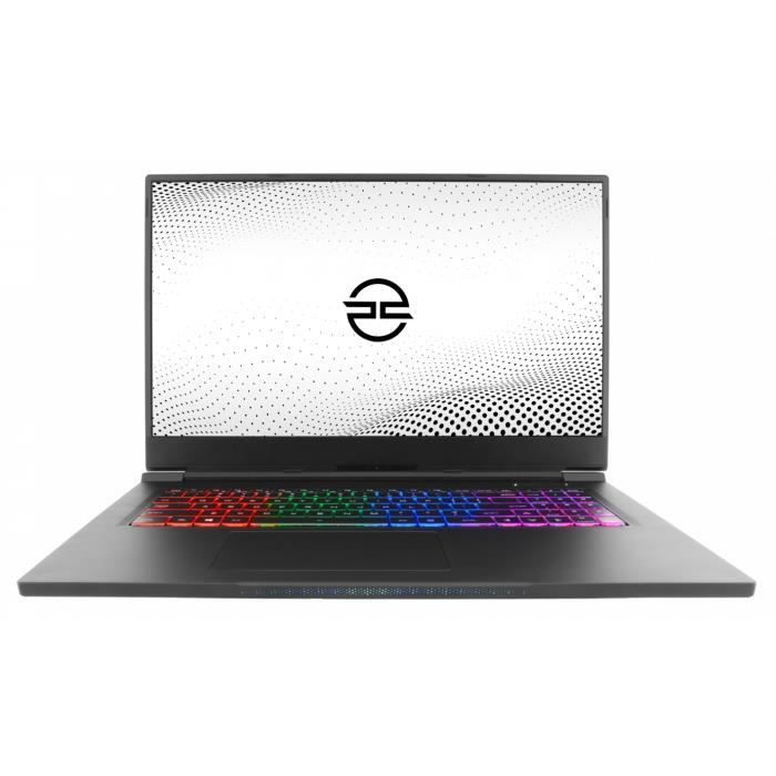 PCSpecialist Vyper Pro 17 Ordinateur portable1