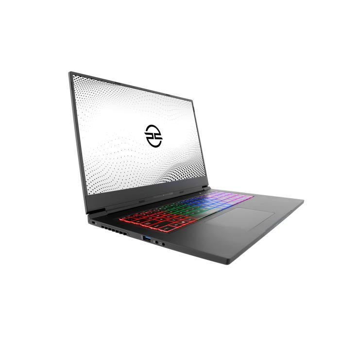 PCSpecialist Vyper Pro 17 Ordinateur portable2