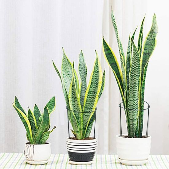 Lot De 8 Tuteurs Plantes Toypopor 25x40cm - Métal Vert Antirouille | Support Pour Hortensias, Roses, Tomates