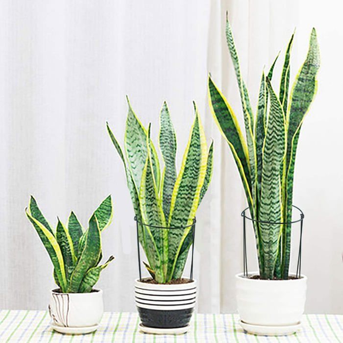 Lot De 5 Supports Arbustes Semi-Circulaires Novatool 100 Cm - Tuteurs Plantes Grimpantes Vert