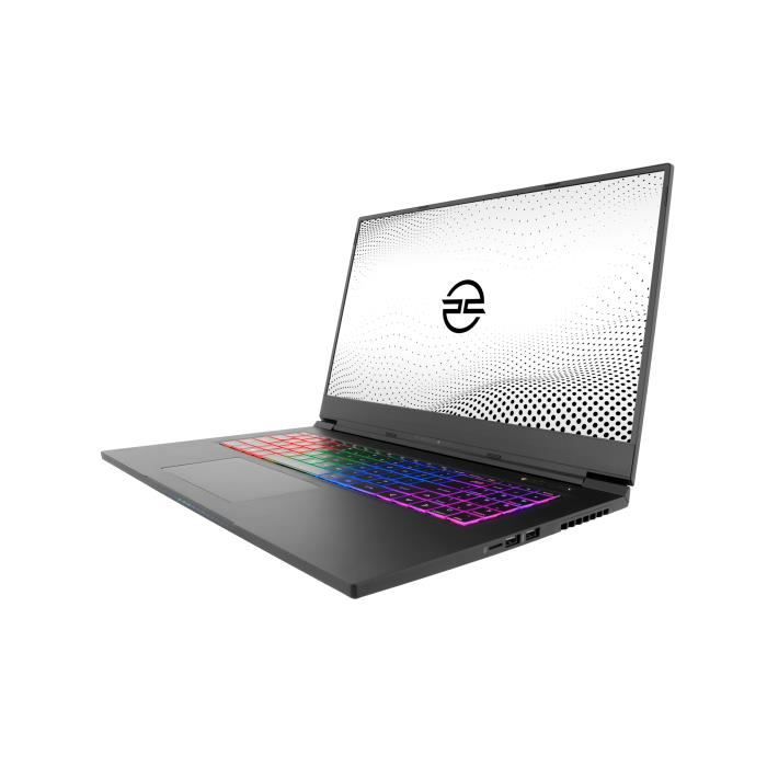 PCSpecialist Vyper Pro 17 Ordinateur portable3