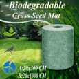 Biodégradable Herbe Tapis De Graines, D'Engrais De Jardin De Pique-Nique Pelouse Plantation Mat, Hydratante, Ombrage Thermiqu[m21]-0