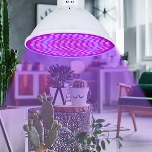 Eclairage horticole UNE Lampe de culture de plantes, Ampoule lampe de 
