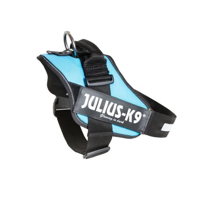 Julius K9 - Harnais IDC-POWER pour chien - Turquoise - Taille 3 - Unique aille 3