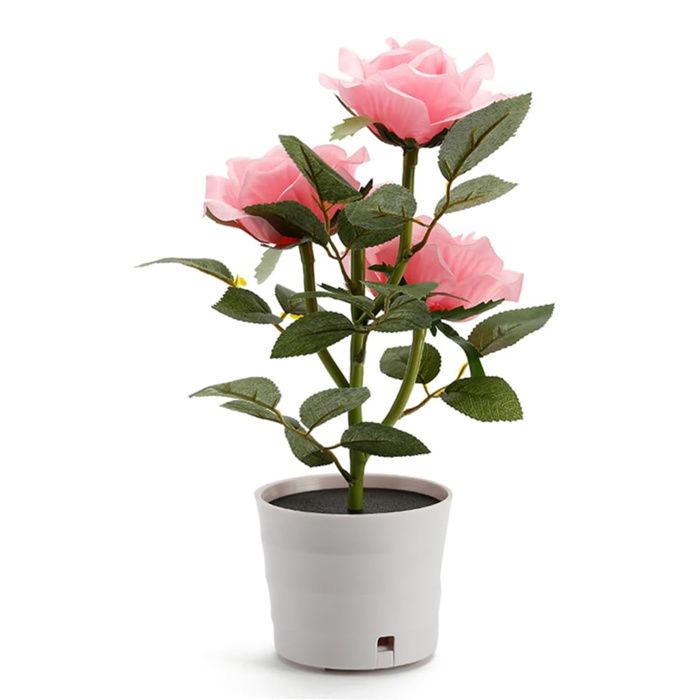 RosedirigéVeilleuse lampe de chevet décorative (rose)