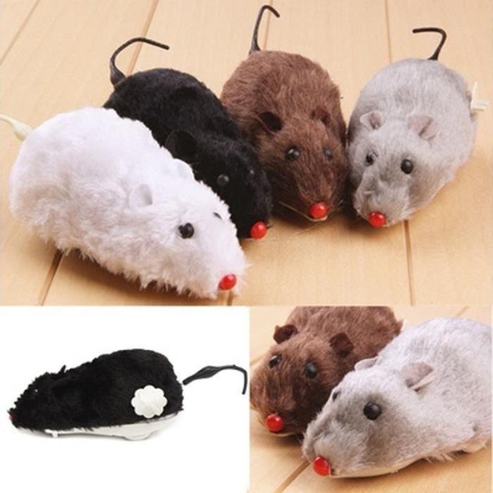 Jouet Pour Chat Souris Mecanique Mouvant Couleur Aleatoire Cdiscount