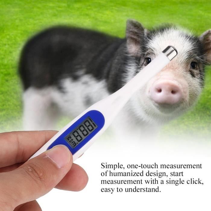 hermomètre pour animaux de compagnie, thermomètre pour animaux mesure de la  température des animaux thermomètre pour chevaux thermomètre équin