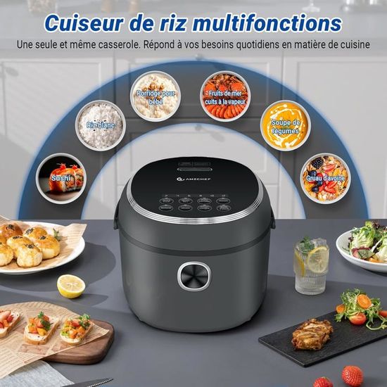 JSMY Mini cuiseur à Riz,cuiseur électrique Multifonction Skillet Wok