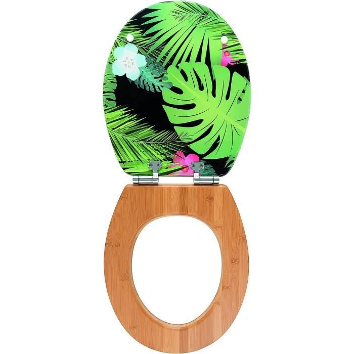 Abattant WC Diplomat 100 fsc et fermeture ralentie Wirquin