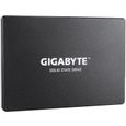 GIGABYTE Disque SSD Interne - UD Pro - 1To - SATA (GP-GSTFS31100TNTD)-0