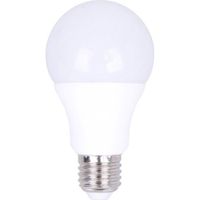 Ampoule LED E27 20W 2700K Blanc Chaud Haute Luminosité