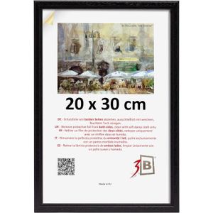 Cadre Photo 20x30 cm - Sous Verre - Verre minéral - Décoration murale -  Easy Frame Axolia