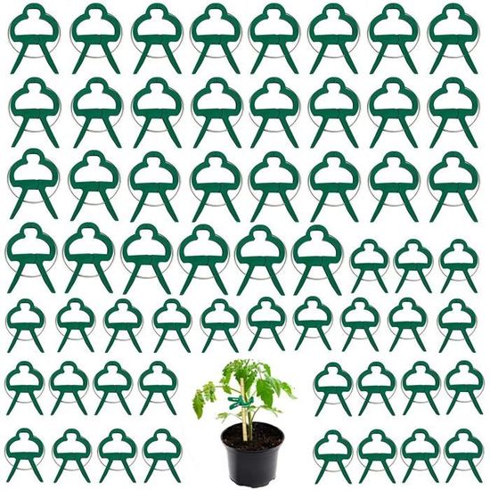 CLIPS DE PLANTES Durables 2050100 Pi Ces Pour Greffer Des Orchid Es Et