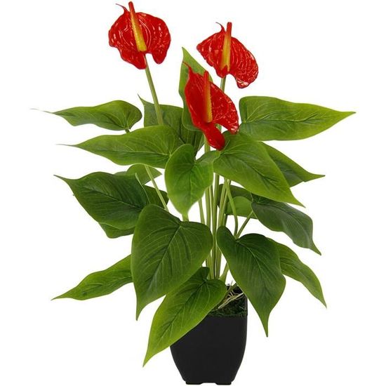 Plante d'anthurium Artificielle en Pot Anthurie Exotique Flamant Rose Fleur Exotique  Plante Exotique avec Fleurs Rouges Plant 431 - Cdiscount Maison