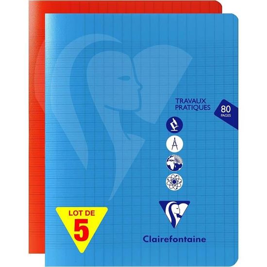Cahiers Clairefontaine Mimesys - Lot De 2, 24x32 Cm, 96 Pages Petits Carreaux - 4