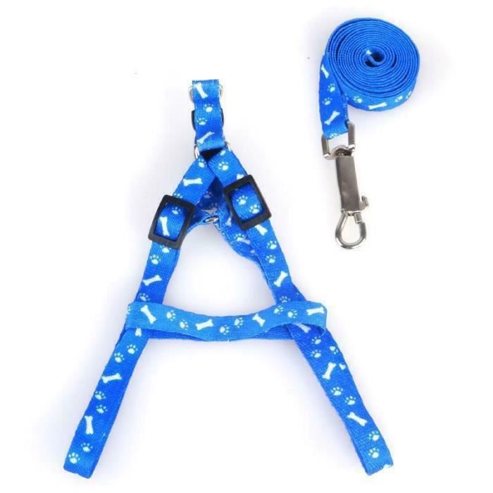 Lot de Harnais et Laisse pour petit Chien Chiot Chat Promenade Sortie Bleu