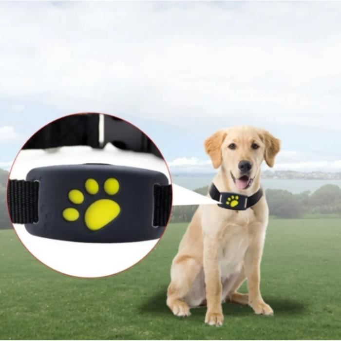 Traceur GPS Localiser pour Chien Chat, Locator Suivi d'activité