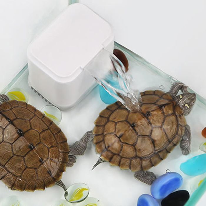 Shipenophy Filtre de réservoir de tortue EN-02 3 en 1 réservoir de tortue deau peu profonde Aquarium cascade filtre jardin bloc
