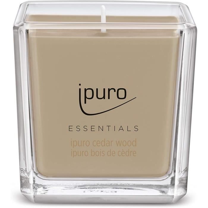 Bougie Parfumée Cadeau Horse Girl – Idée Originale Pour Cavalières – Parfum Bois De Cèdre & Sel Marin – 226,8g – Décoration Cocooning