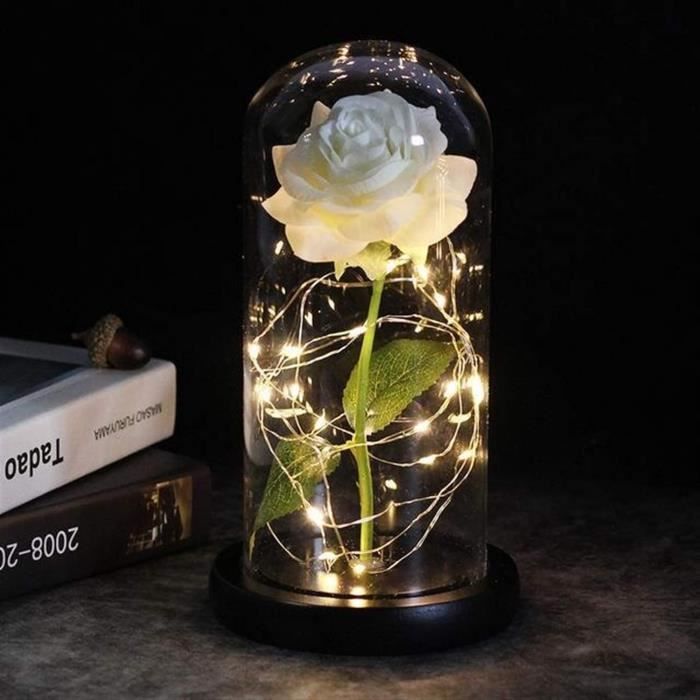 Lampe LED Tournesol Enchantée Dans Dôme En Verre - Cadeau Éternel Pour Femme Fête Des Mères Anniversaire