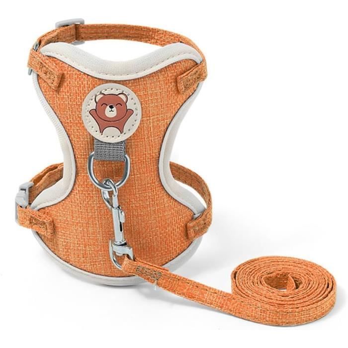 Harnais Chat Anti évasion, Harnais et Laisses pour Chats Harnais Chaton Anti évasion Réglable Harnet pour Chien Petite Taille