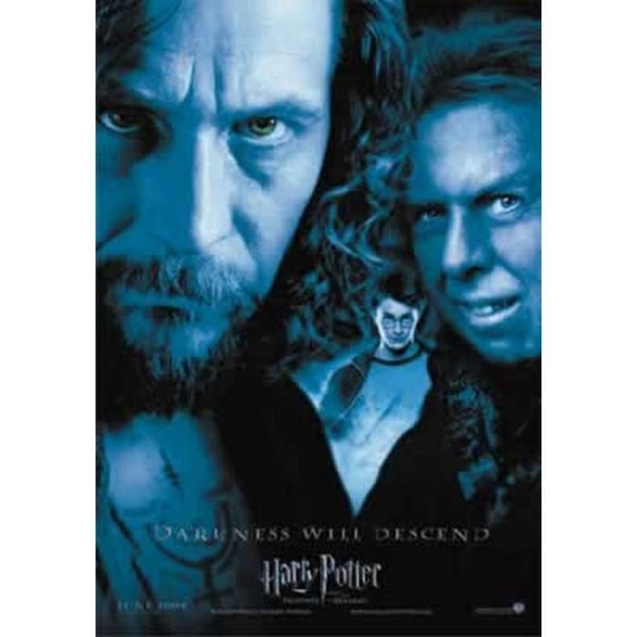 Poster Harry Potter 6 Harry Potter and the Half-Blood Prince affiche cinéma  wall art - A4 (21x29,7cm) - Cdiscount