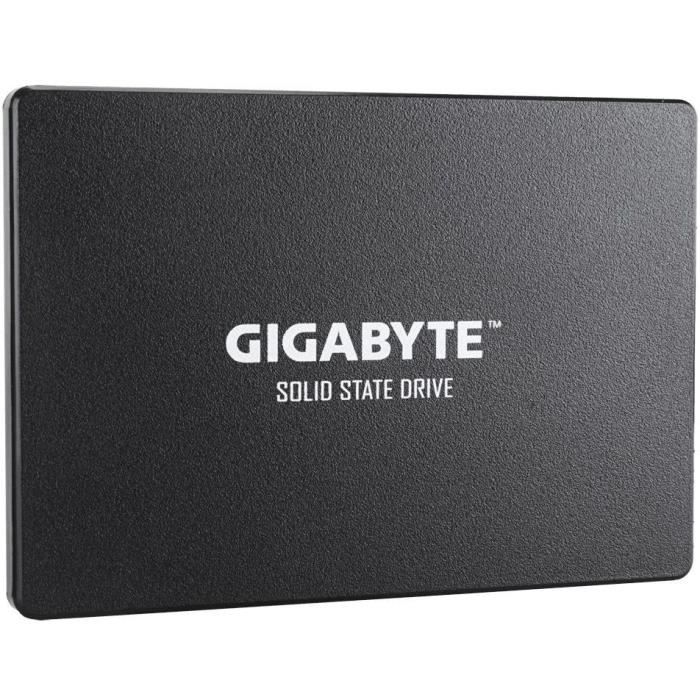 GIGABYTE Disque SSD Interne – UD Pro – 1To – SATA (GP-GSTFS31100TNTD)