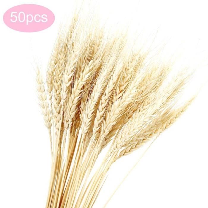 Herbe s/èche Bouquet Accueil Photo D/écoration Props Dartisanat De Mariage Fleur De Bundle De Bl/é Naturel S/éch/é