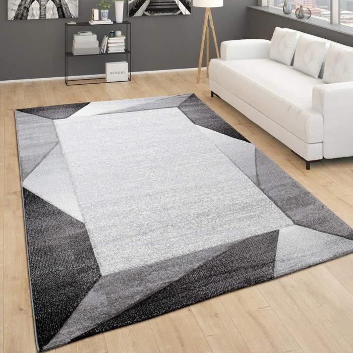 Tapis Salon Poil Ras