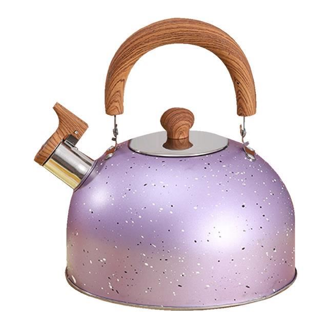 Bouilloire à thé en acier inoxydable avec poignée Anti-chaleur, 2l, pour  cuiseur à Induction