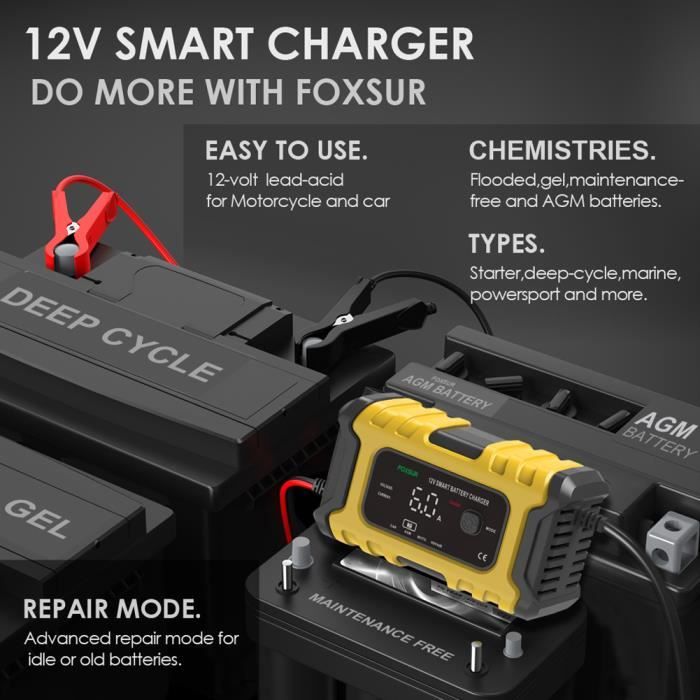 （Rouge）Chargeur Batterie Moto Intelligent 6A 12V Chargeurs de Batterie pour  Auto avec Fonction de Maintenance Fonction Hiver et Eté et Protection