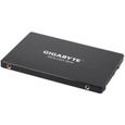 GIGABYTE Disque SSD Interne - UD Pro - 1To - SATA (GP-GSTFS31100TNTD)-3
