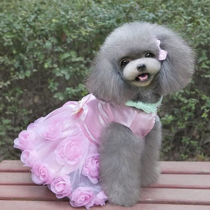 Tutu best sale pour chien