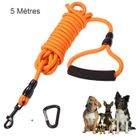TSINCHIN Laisse Chien 5m, Laisses de dressage pour chiens avec Poignée Rembourrée Douce pour Petits à Grands Chiens - Orange